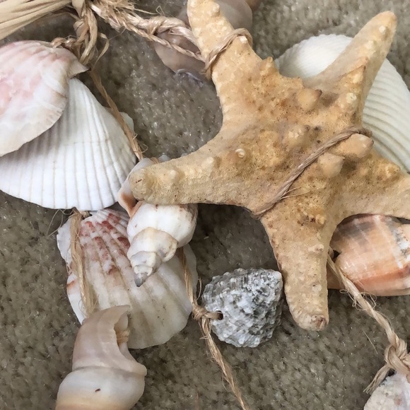 2 for $12! Seashell and raffia hanging doorway decor (set of 2) - Picture 10 of 14